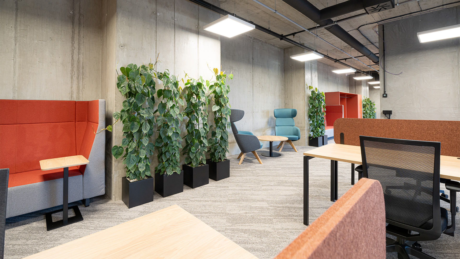 AFI City Co-working 